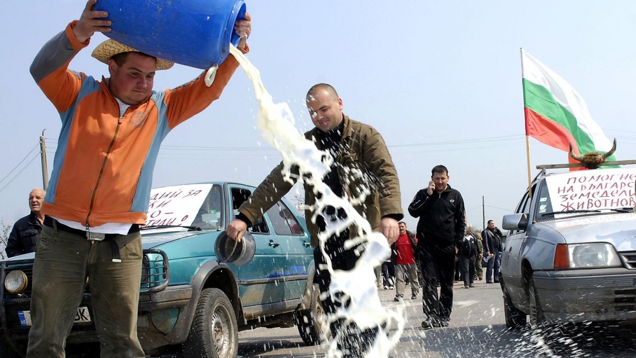 Фермери излязоха на протест за по-високи изкупни цени на млякото