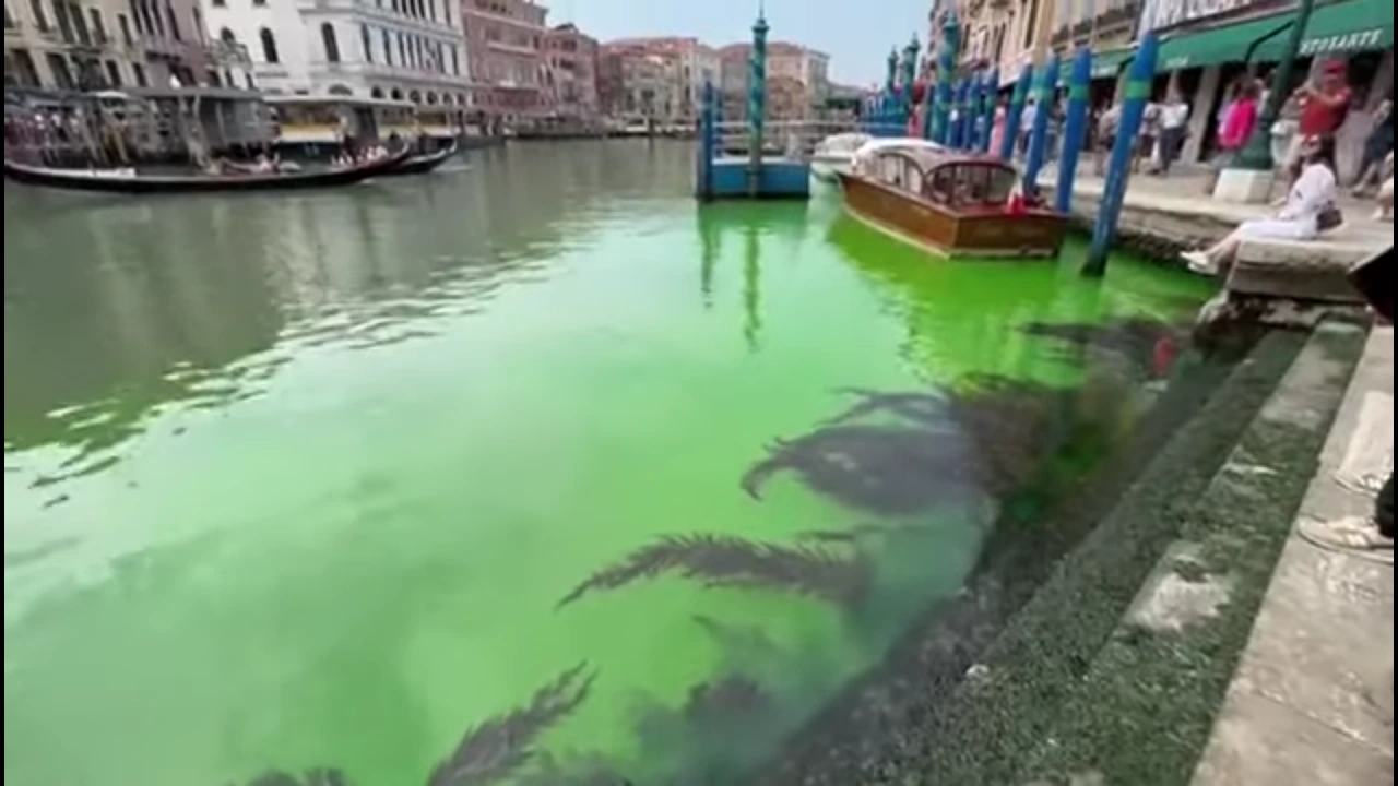 Блестящата зелена течност в прочутия Канале Гранде във Венеция появила