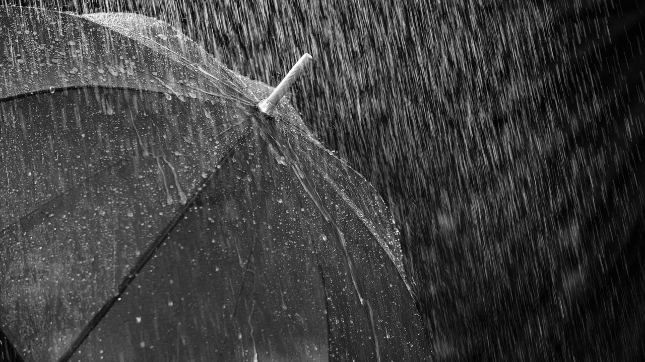 Жълт код за дъжд и гръмотевична дейност за областите Видин