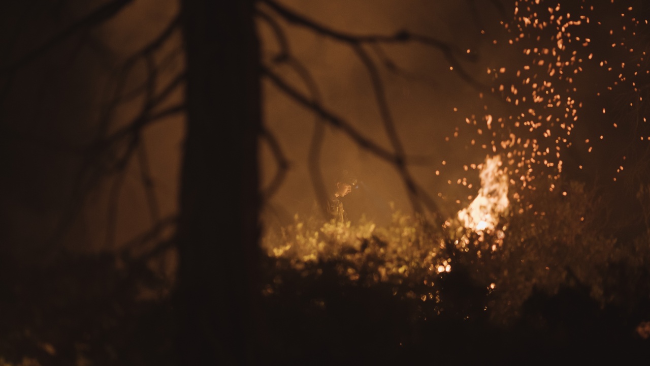 Канада очаква още тежки месеци на горски пожари