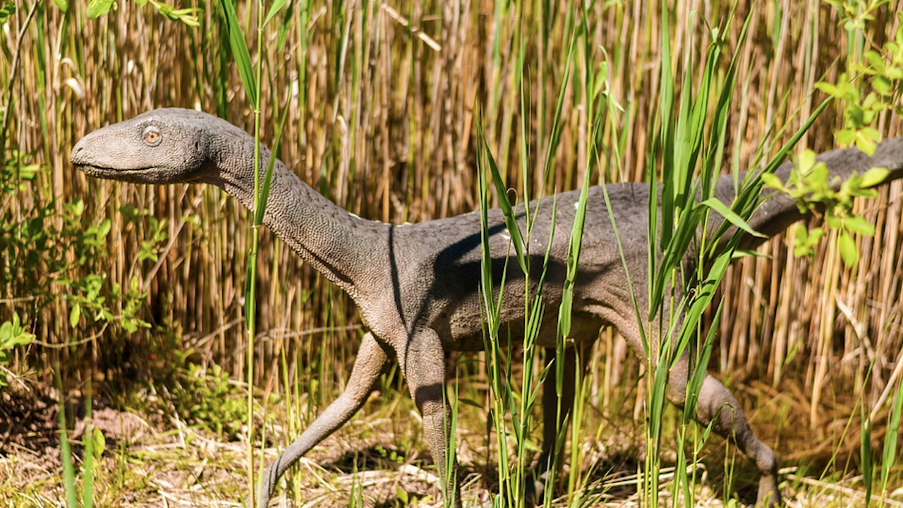Откриха динозавър, който вероятно е бил последният представител на вида си