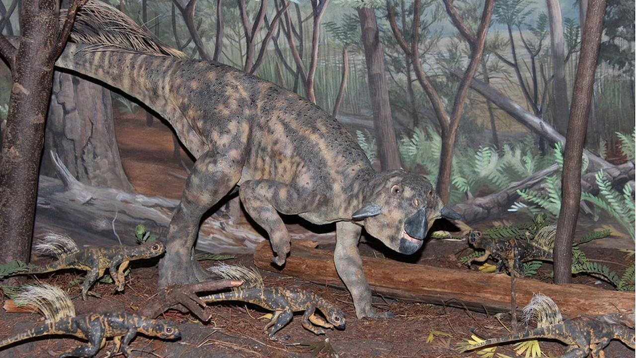 Останки от тревопасен динозавър бяха открити в Чили