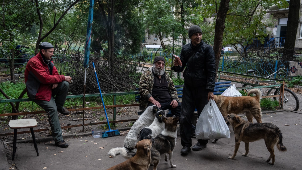 Подкрепа за животните след наводненията в Украйна ще окаже Четири