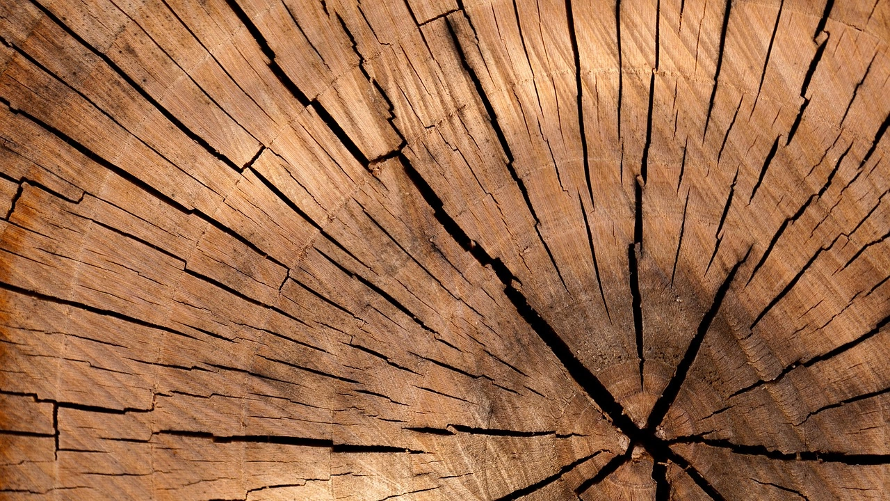 Складовете и пунктове за дърва за огрев в Кюстендилско са