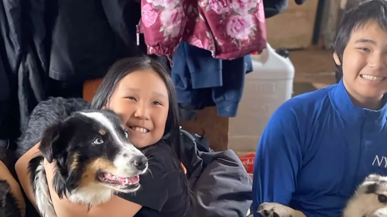 Куче от породата австралийска овчарка измина 241 километра по замръзналия