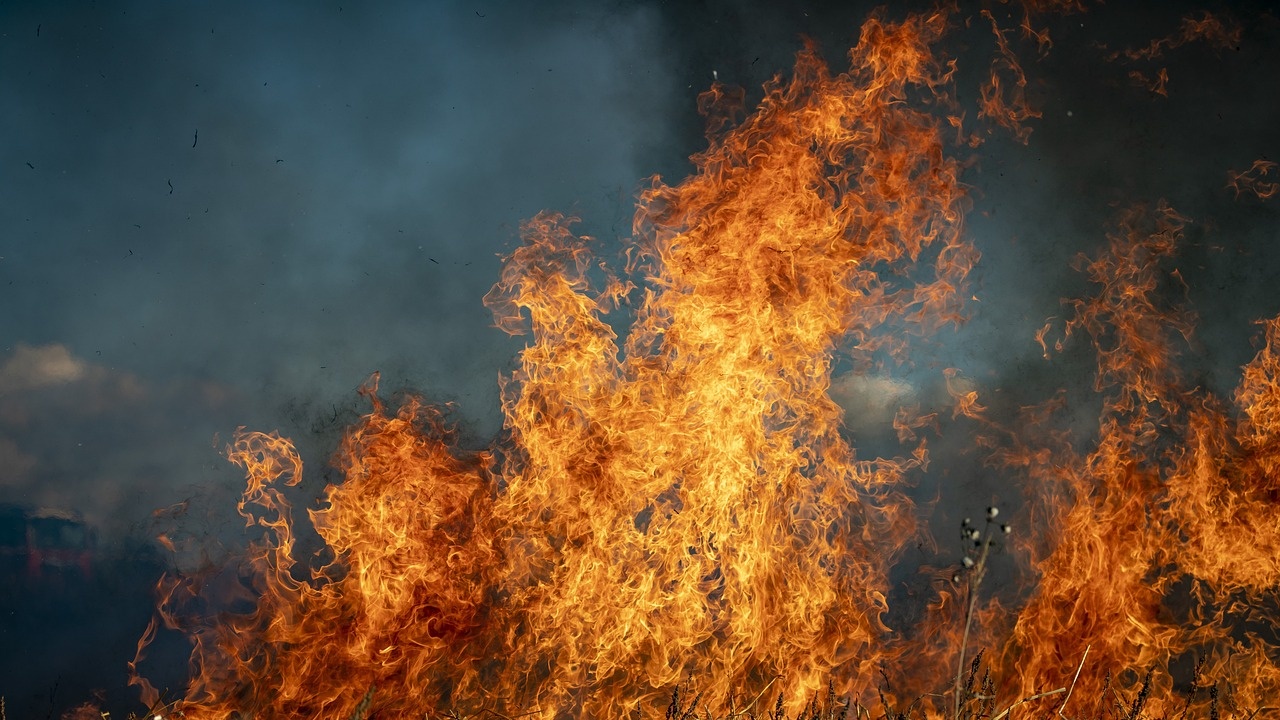 В община Тунджа предупреждават за повишен риск от пожари при жътвата