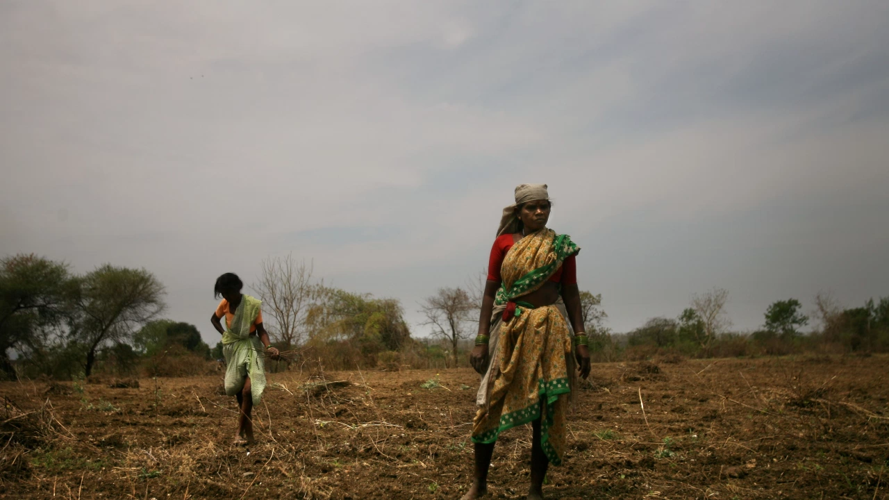 Фермерите в Индия изостанаха в засаждането на ключови летни култури