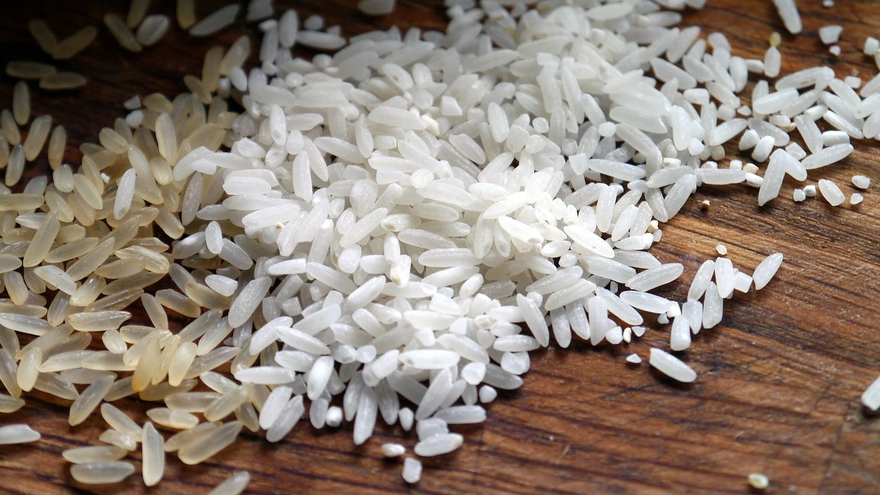Оризът е основна храна за милиарди хора в Азия и
