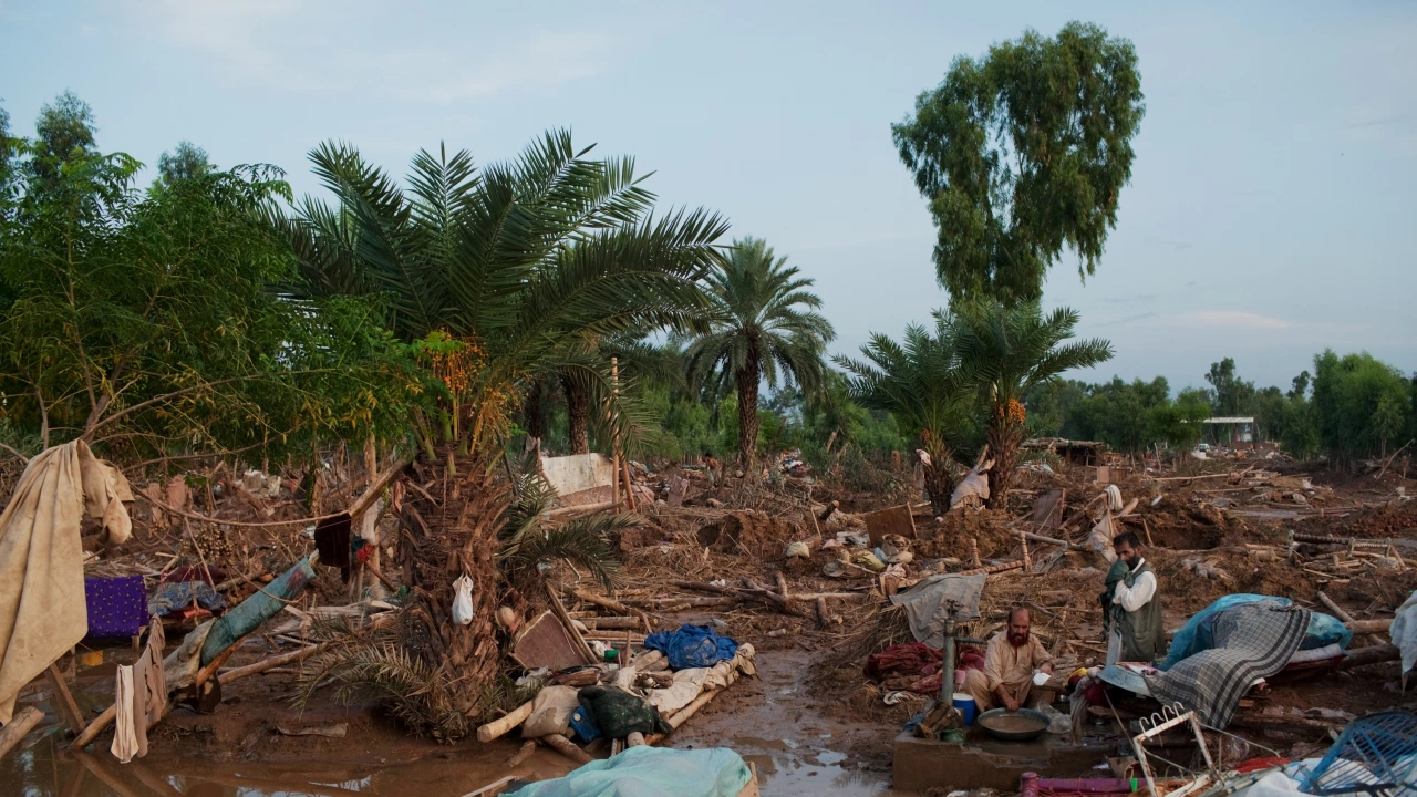 Над 50 са загиналите в Пакистан вследствие на проливните мусонни