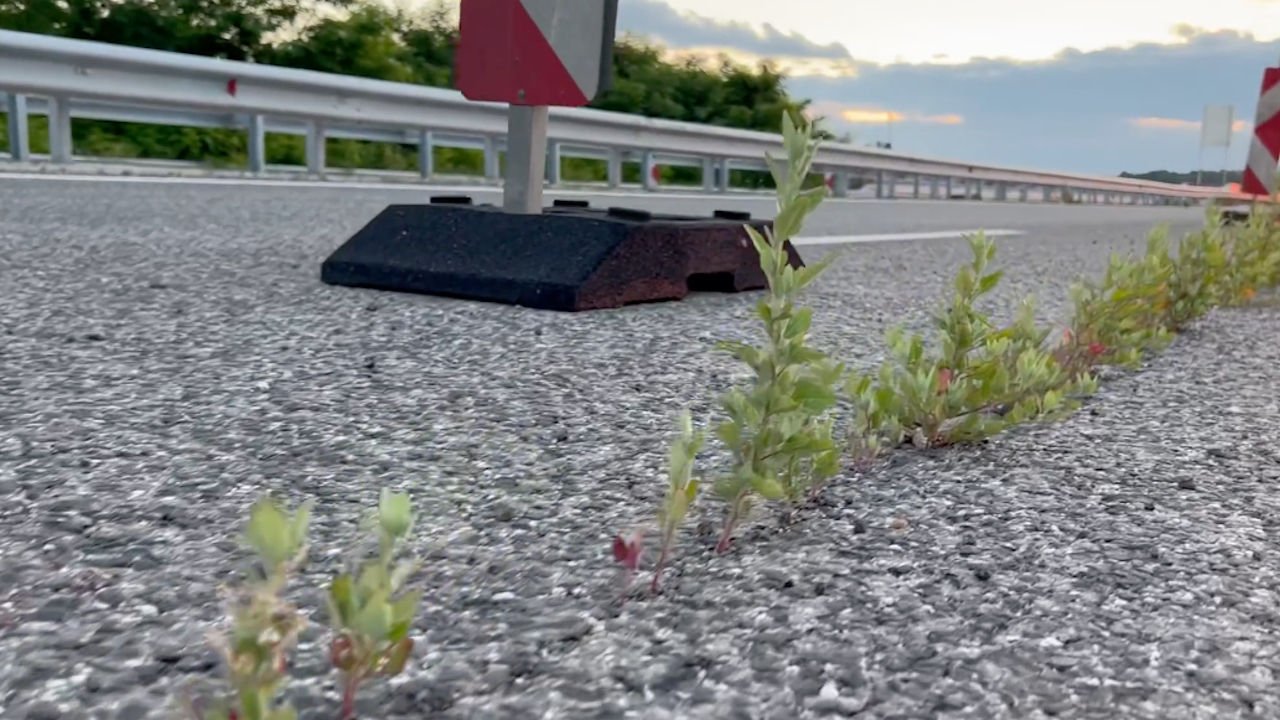 Трева избуя до преградните знаци на магистрала Марица, съобщи хасковският