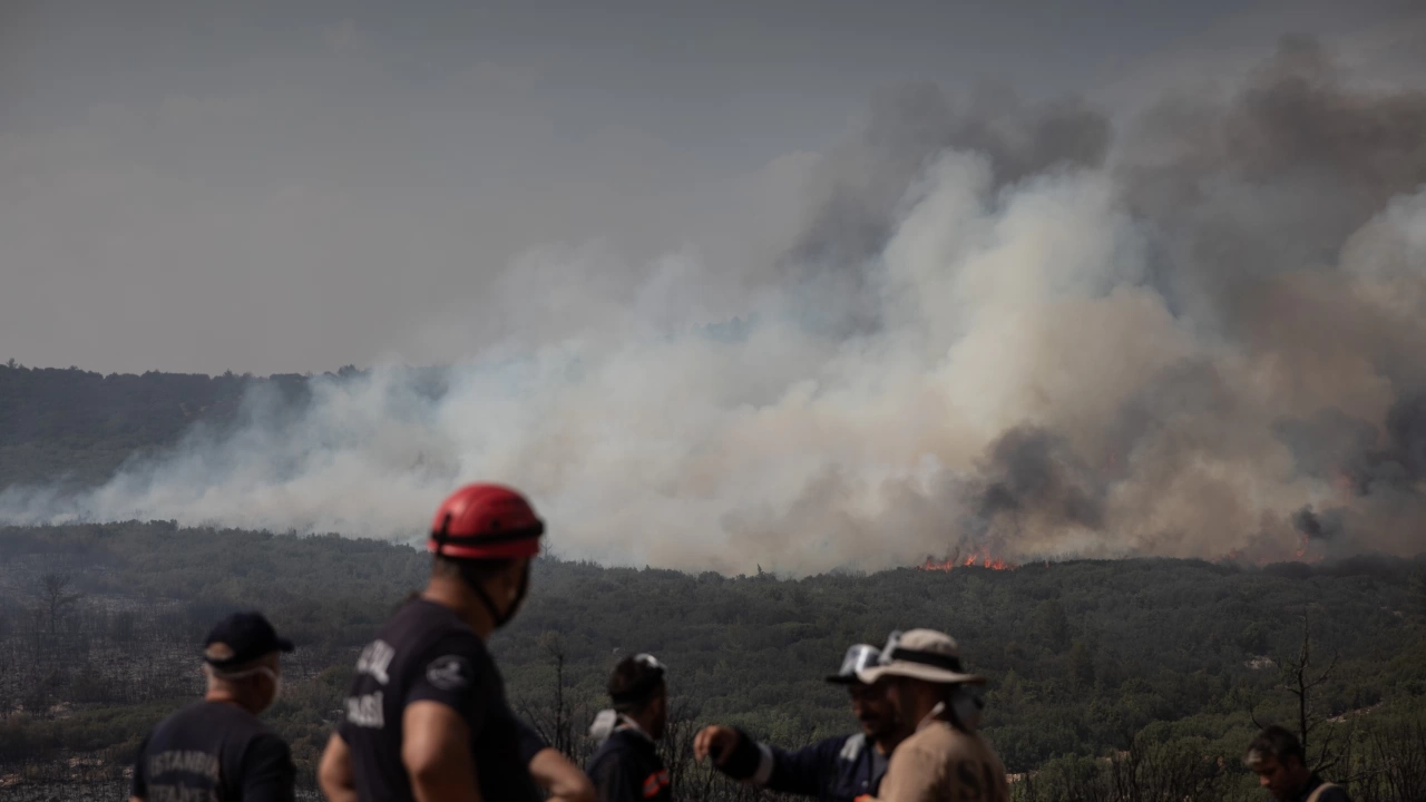 Мощен горски пожар бушува в Югозападна Турция Огънят е обхванал