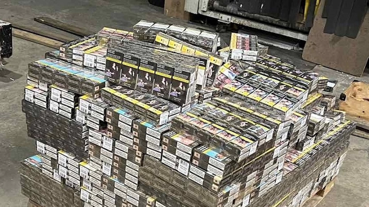 Голямо количество от 69 000 къса 3450 кутии контрабандни цигари