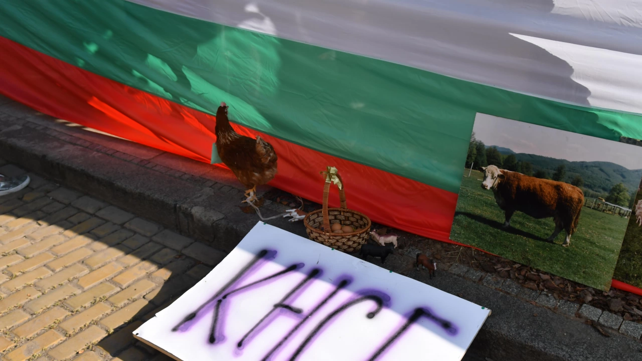 Трети пореден ден протести организирани от КНСБ пред Народното събрание