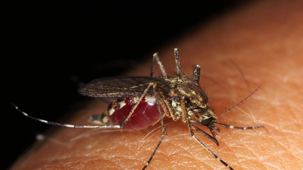 Започна наземното и въздушното пръскане против комари в общините по