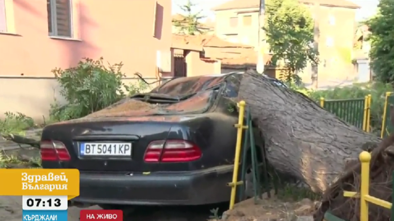 Десетки изкоренени дървета и смачкани автомобили след бурята, която удари