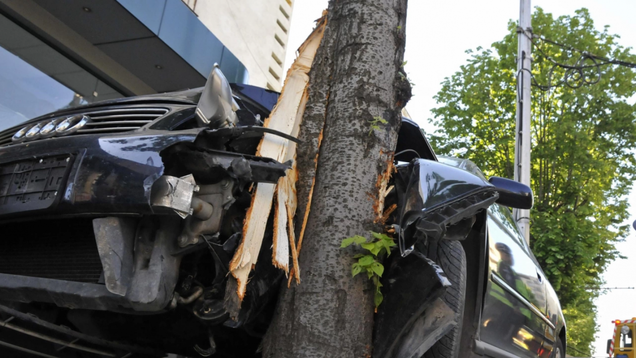 Кола се заби в дърво на пътя Русе-Разград, двама са ранени