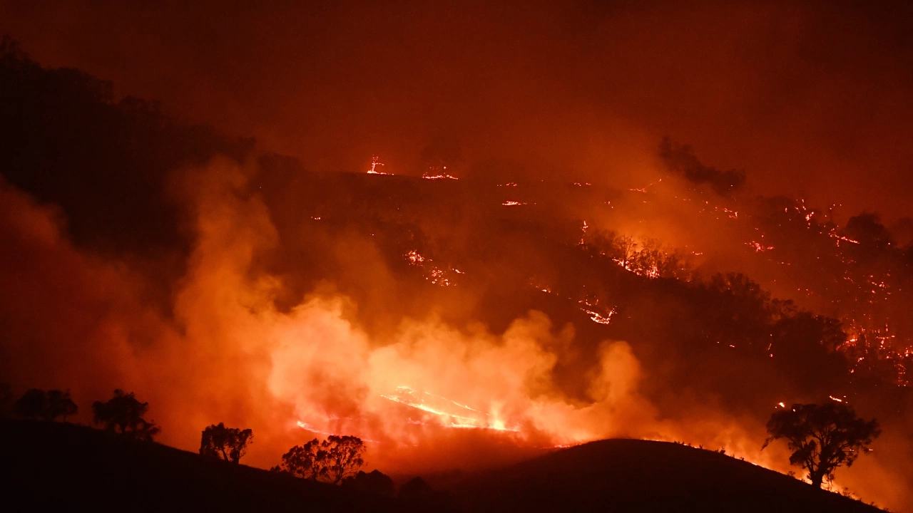 Голям пожар гори близо до Букурещ съобщава БТА Пламъците са