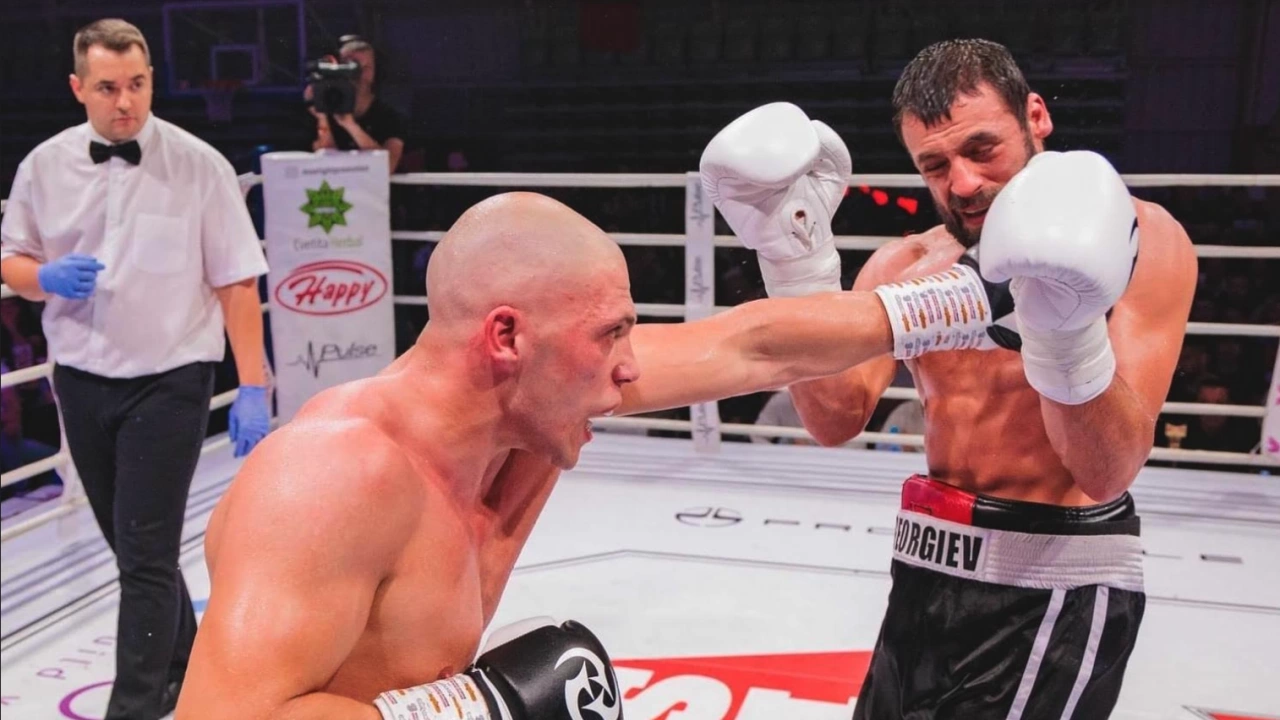 Българските бойци са фаворити във всички мачове срещу чужденци
 
Бойната гала вечер