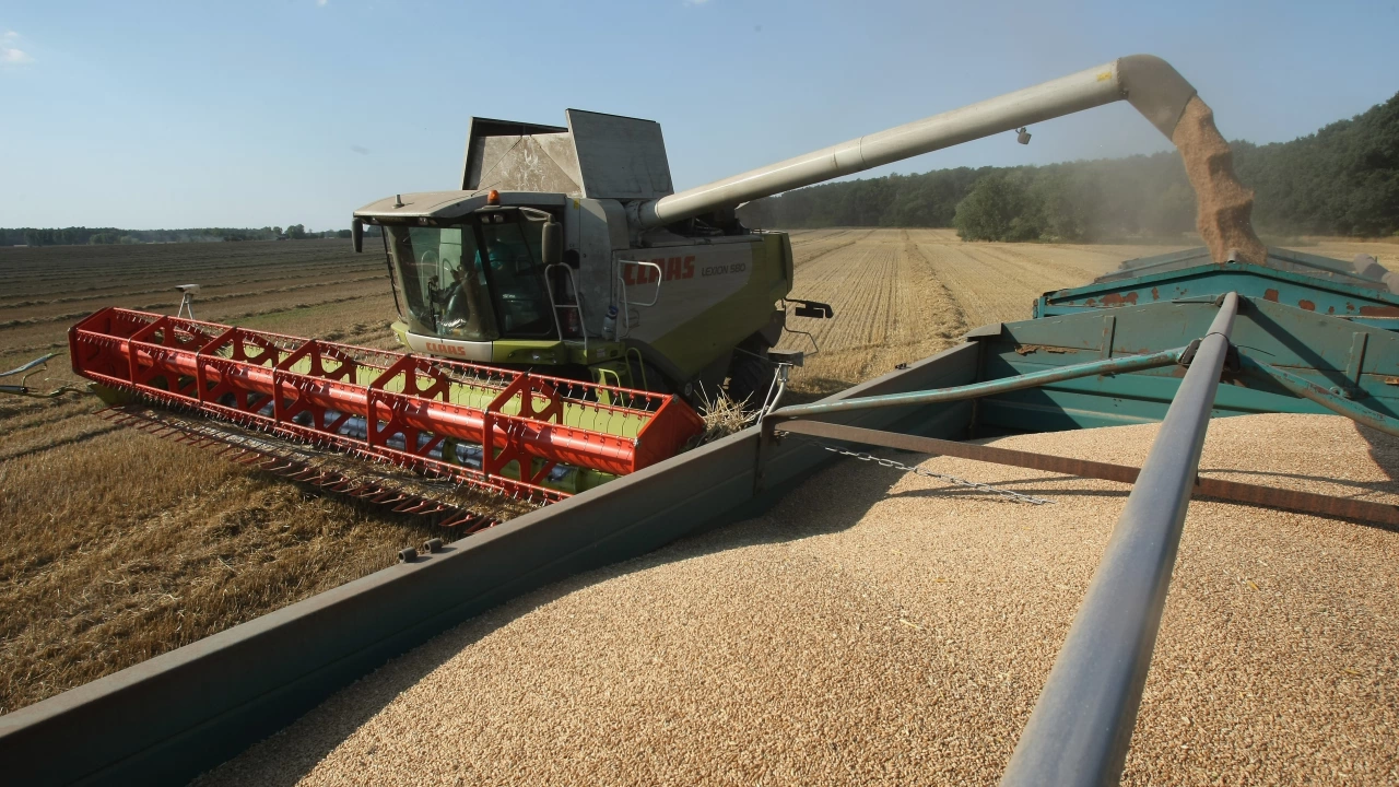 Фючърсите на пшеницата продължиха да се повишават и днес регистрирайки
