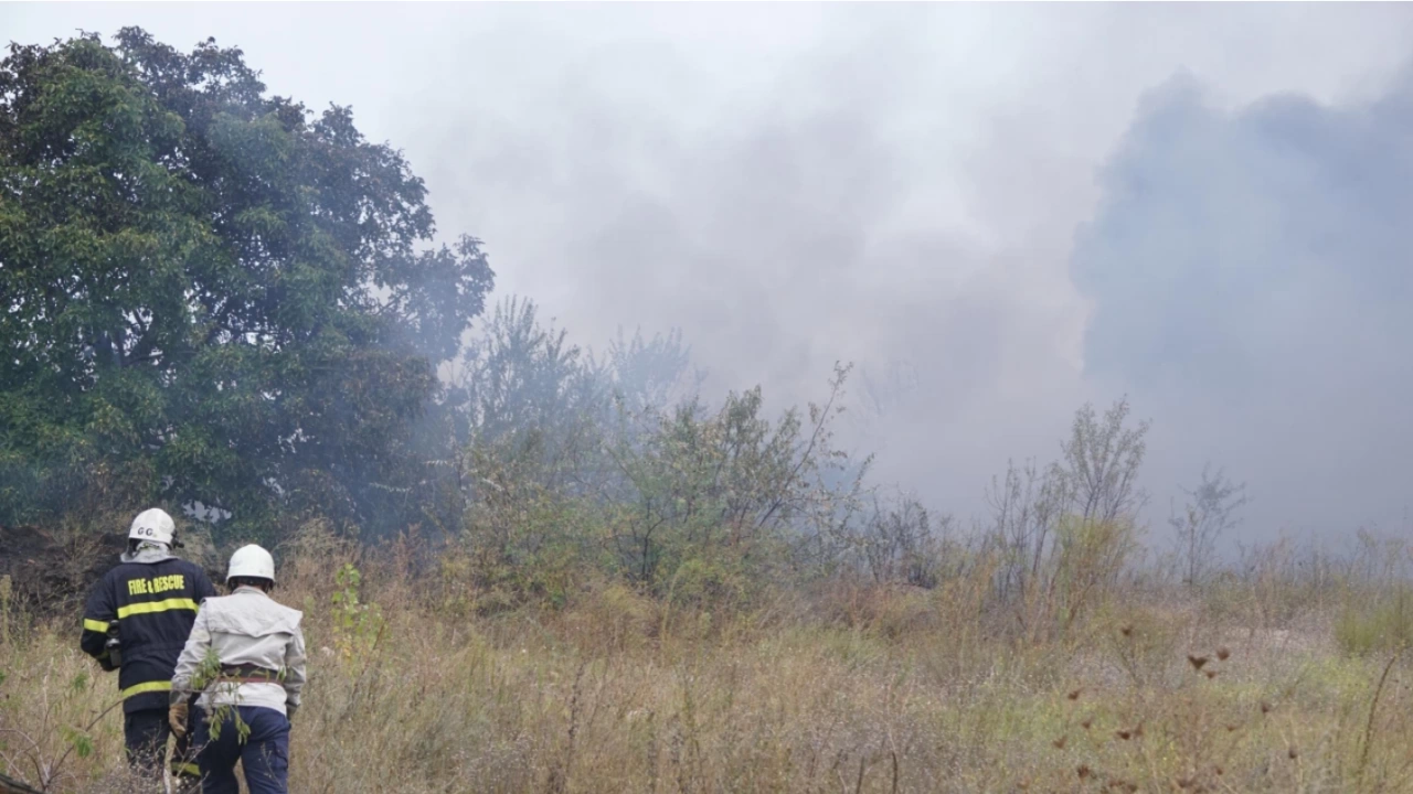 Десетки декари горят край Гребната база в Пловдив съобщи БТВ Задимен