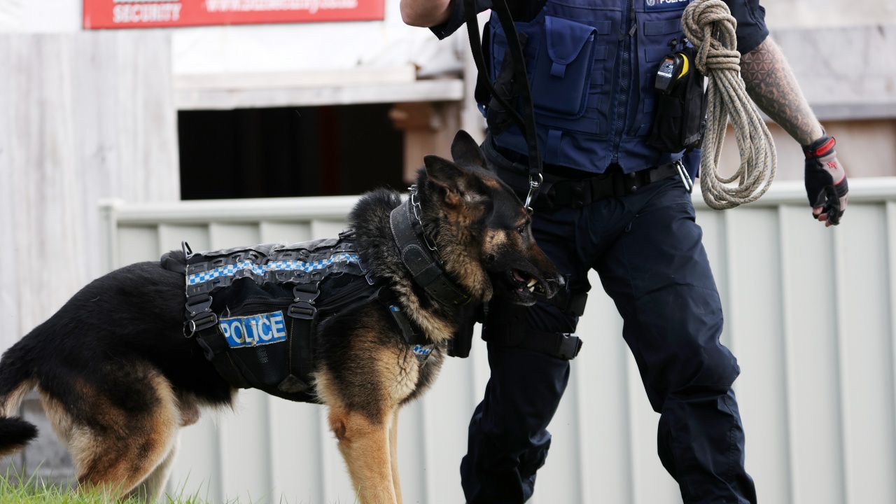Чернокож мъж е нападнат от полицейско куче, след като полицията