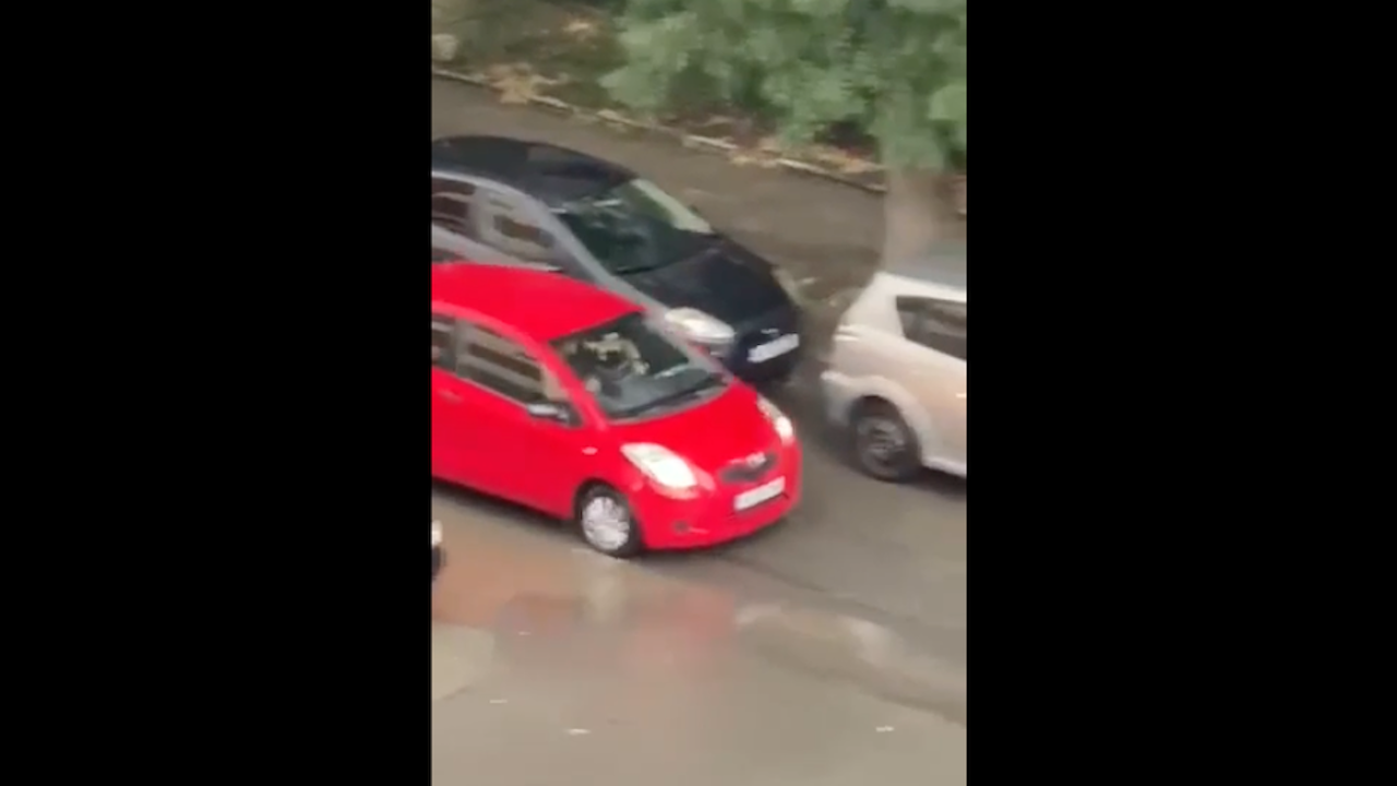 Бургазлийка засне мъж "да лъска бастуна" докато шофира, притеснена е да не започне да напада жени