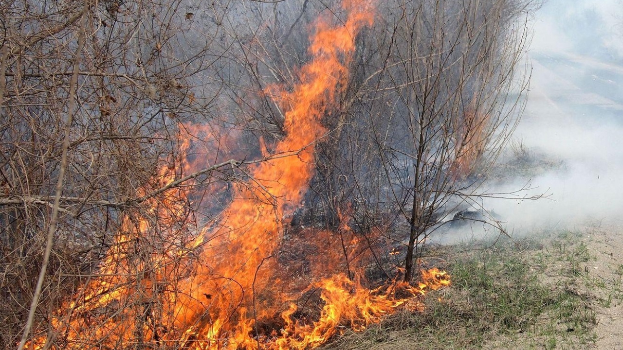 Сухи треви горят на четири места в област Добрич