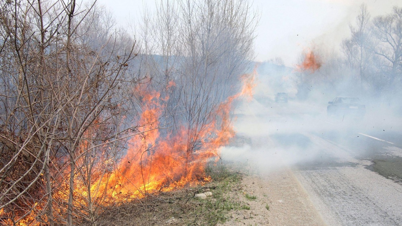 Община Ивайловград обяви бедствено положение заради пожара.
Горските също са включени