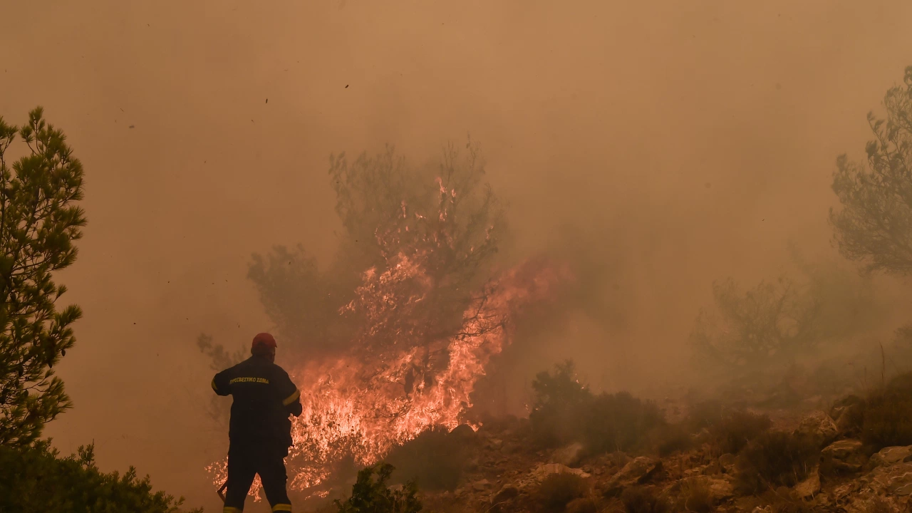 Най малко 15 души са загинали при горски пожари които бушуват