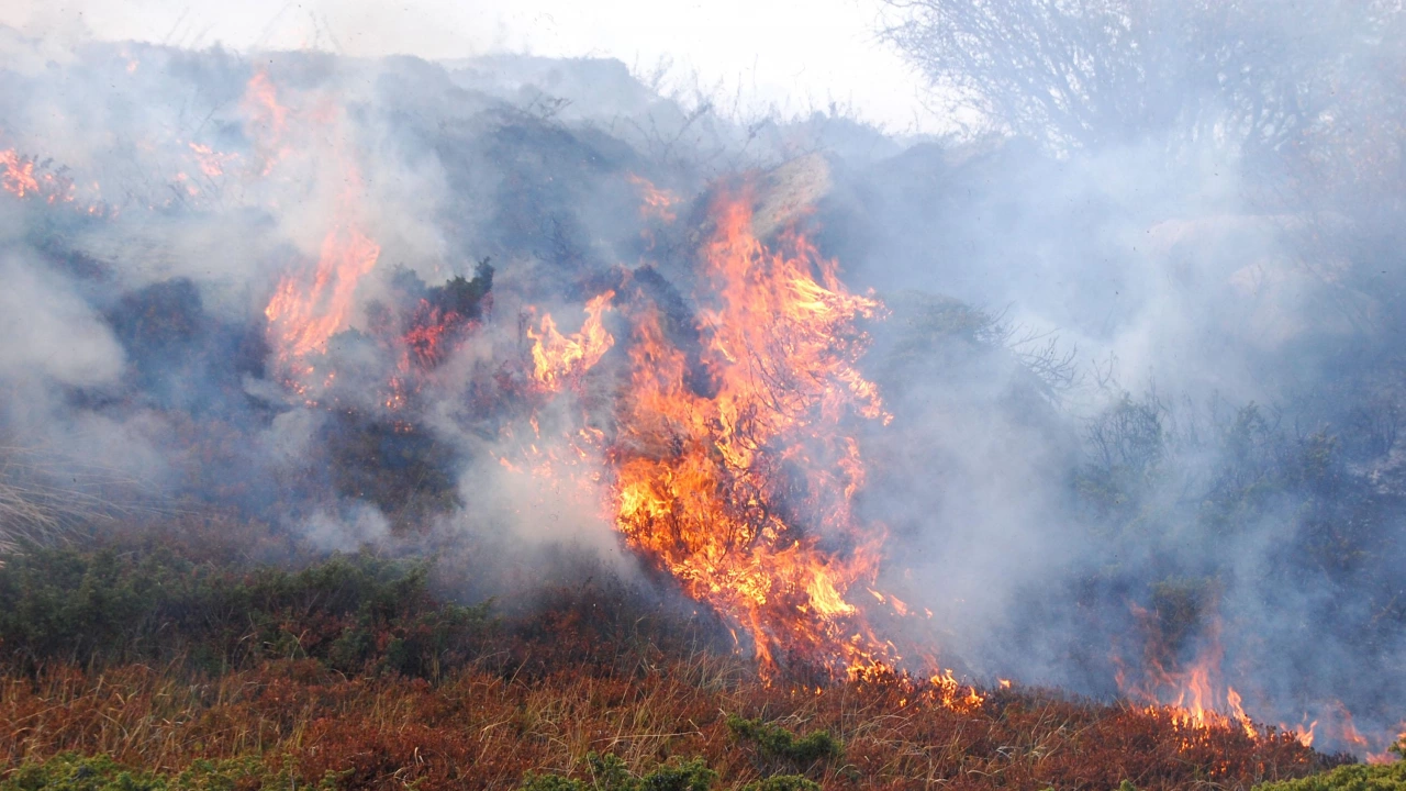 Огнеборци гасят пожар възникнал около 17 00 ч в местността  Влашки кладенец