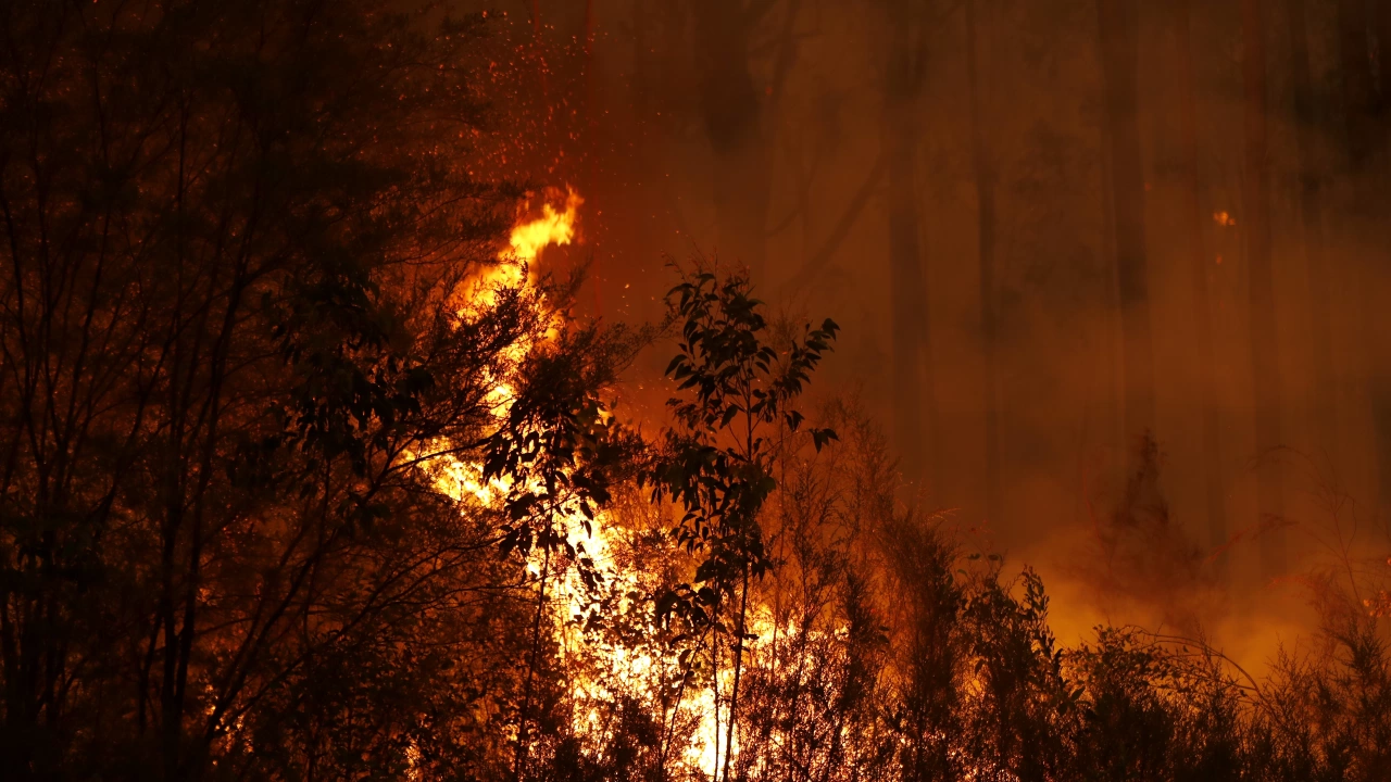 Хърватски огнеборци се борят с горски пожари които се разпространяваха