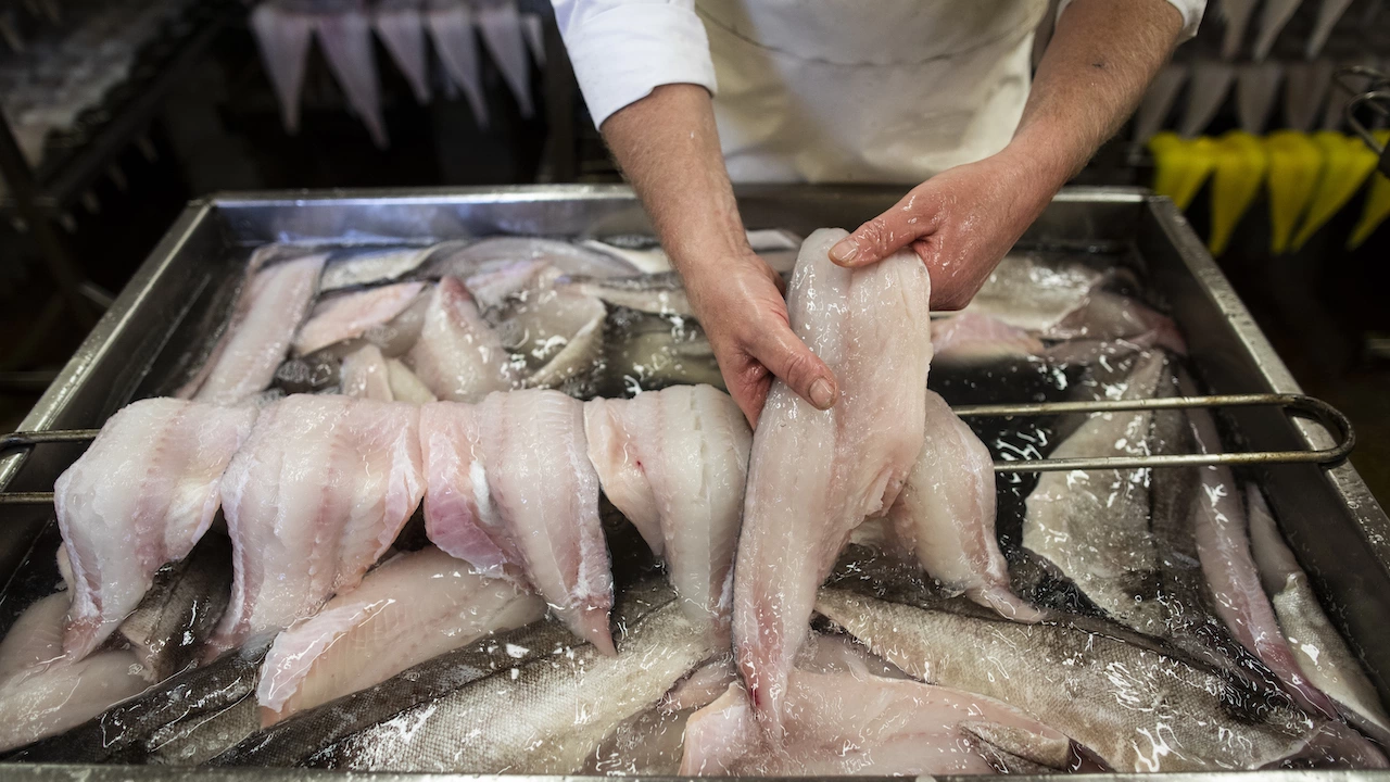 Москва забрани вноса на рибни продукти и морски деликатеси от