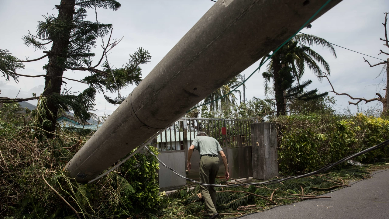 Тайфунът Доксури  събори дървета и прекъсна електрозахранването на стотици хиляди домове