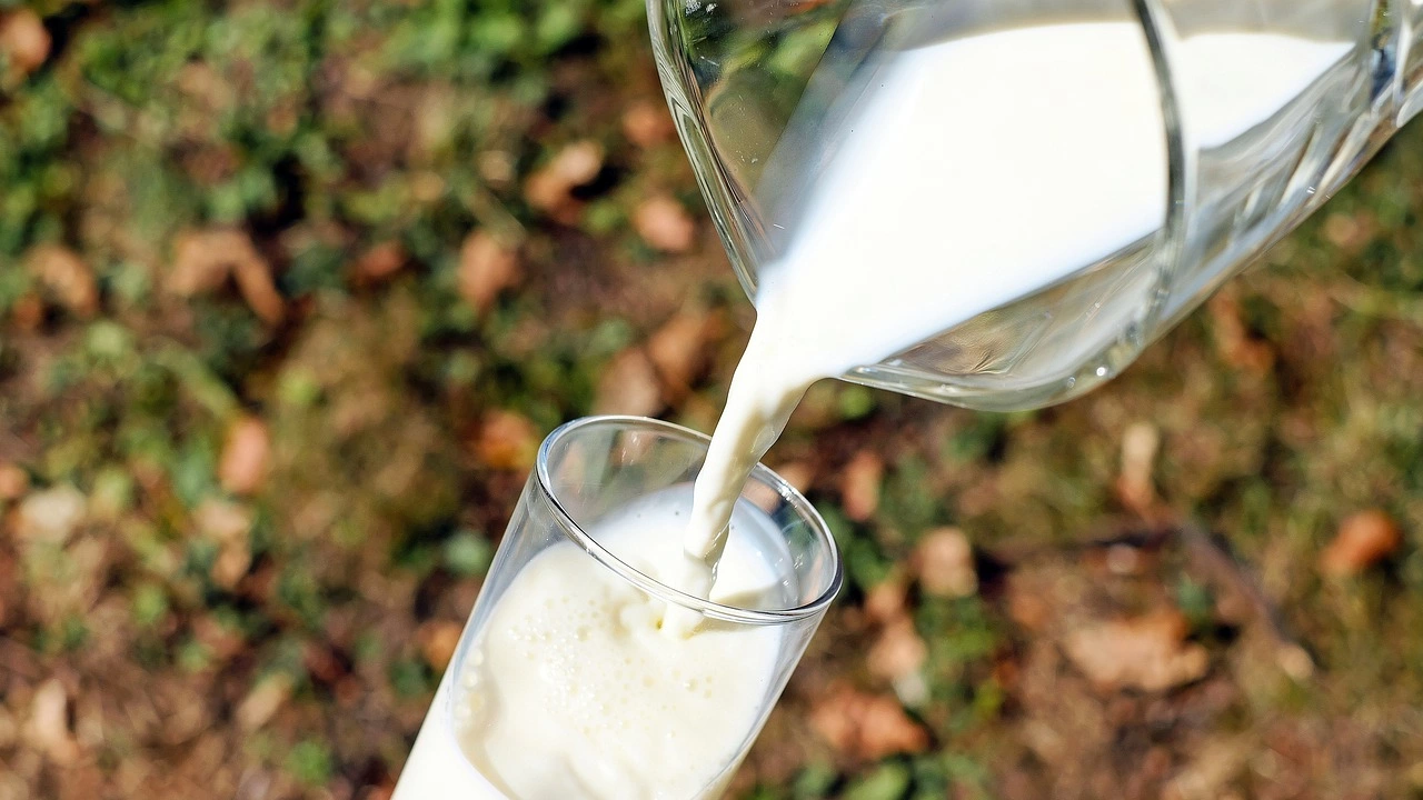 Превръзки напоени с казеин протеин в кравето мляко значително