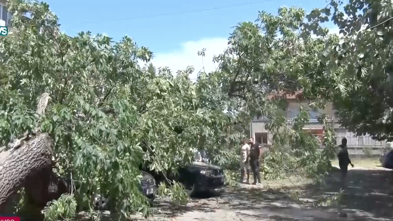 Силна буря с паднали дървета и смачкани автомобили в Симеоновград