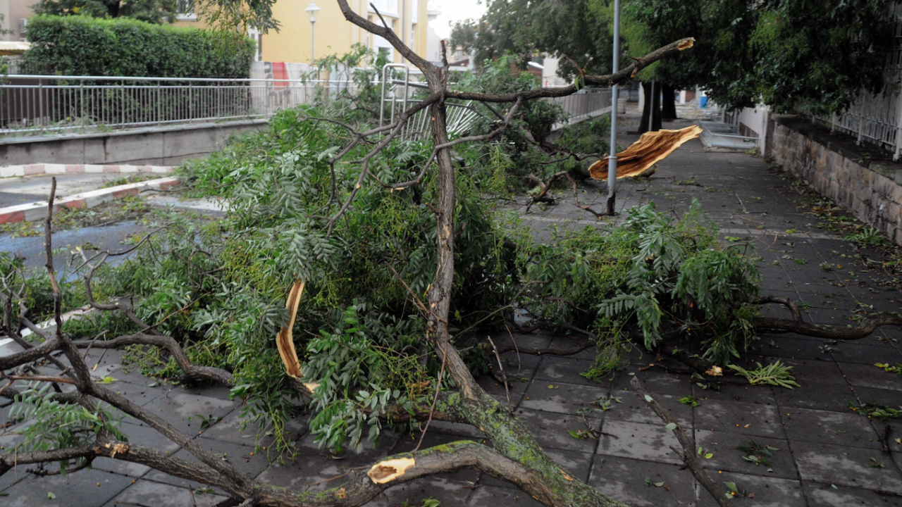 Вятър, дъжд и градушка в Сливенско: Паднали дървета блокираха улици и тротоари