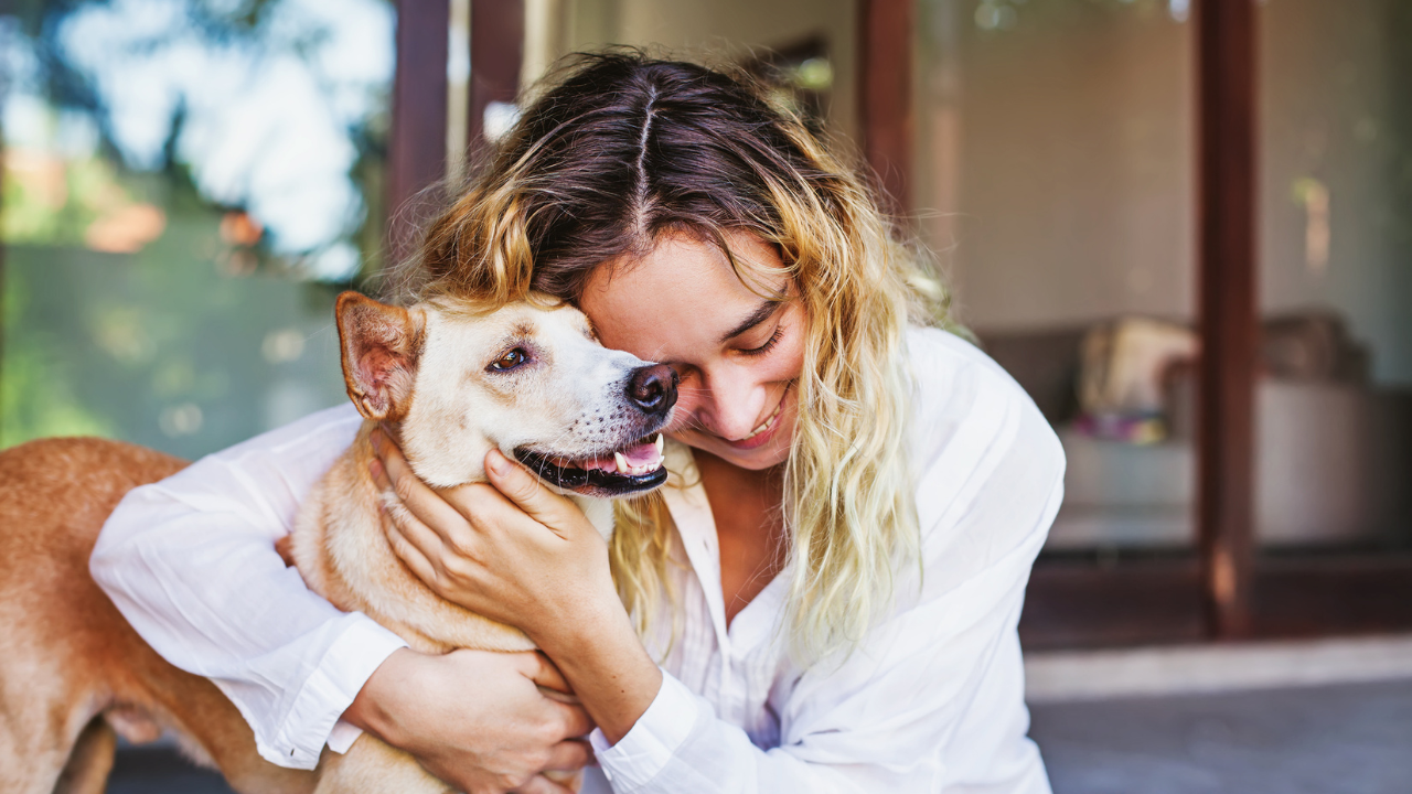 „Четири лапи“: Оставете кучето на доверен човек, докато сте на почивка