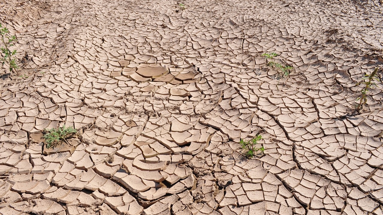 Испания регистрира най-голямта си суша през първите четири месеца на