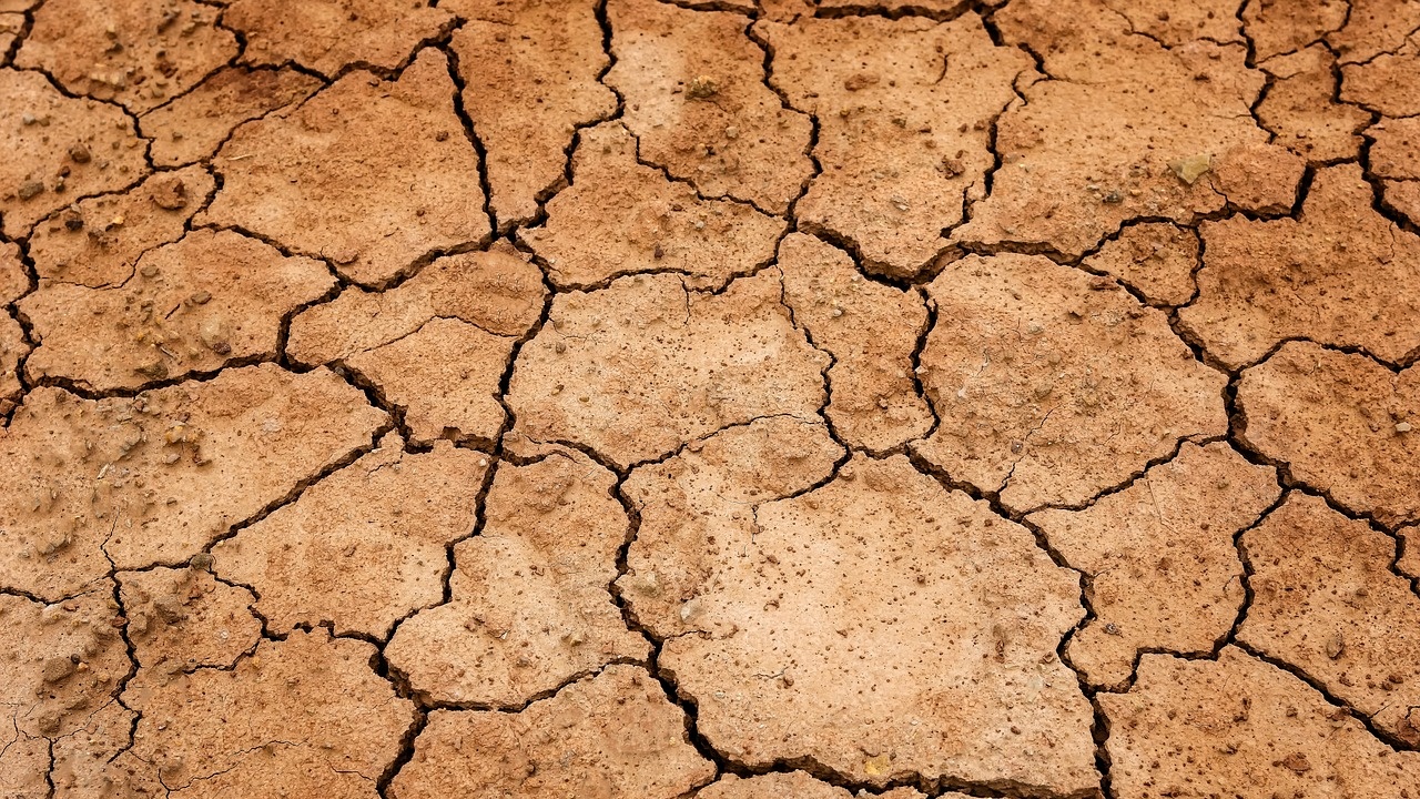 Климатичните промени могат да доведат до световен глад