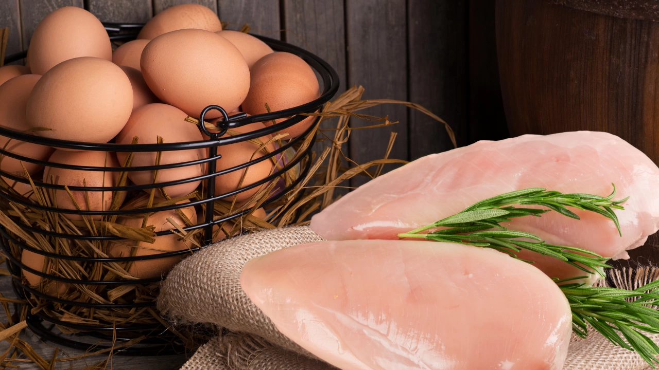 По скъпо родно производство – яйца и пилешко месо в сравнение с