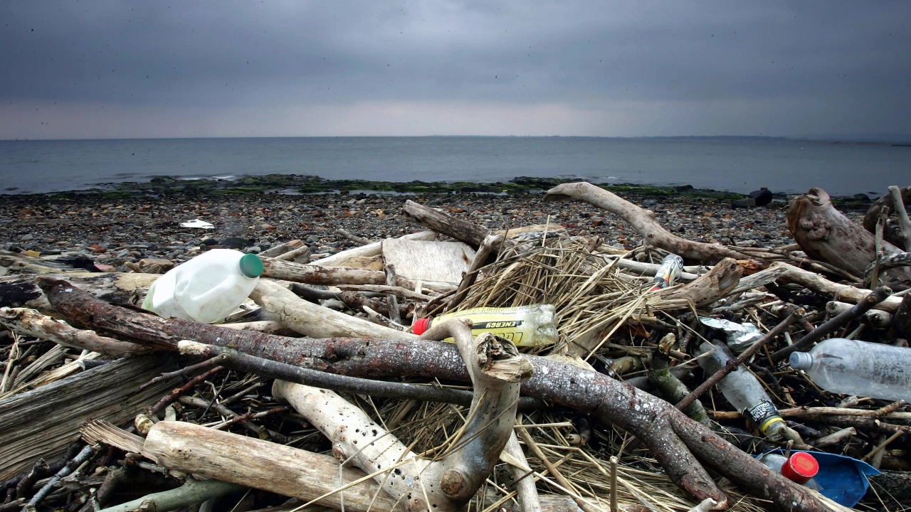 Нивото на замърсяване на световния океан с пластмаси е доста