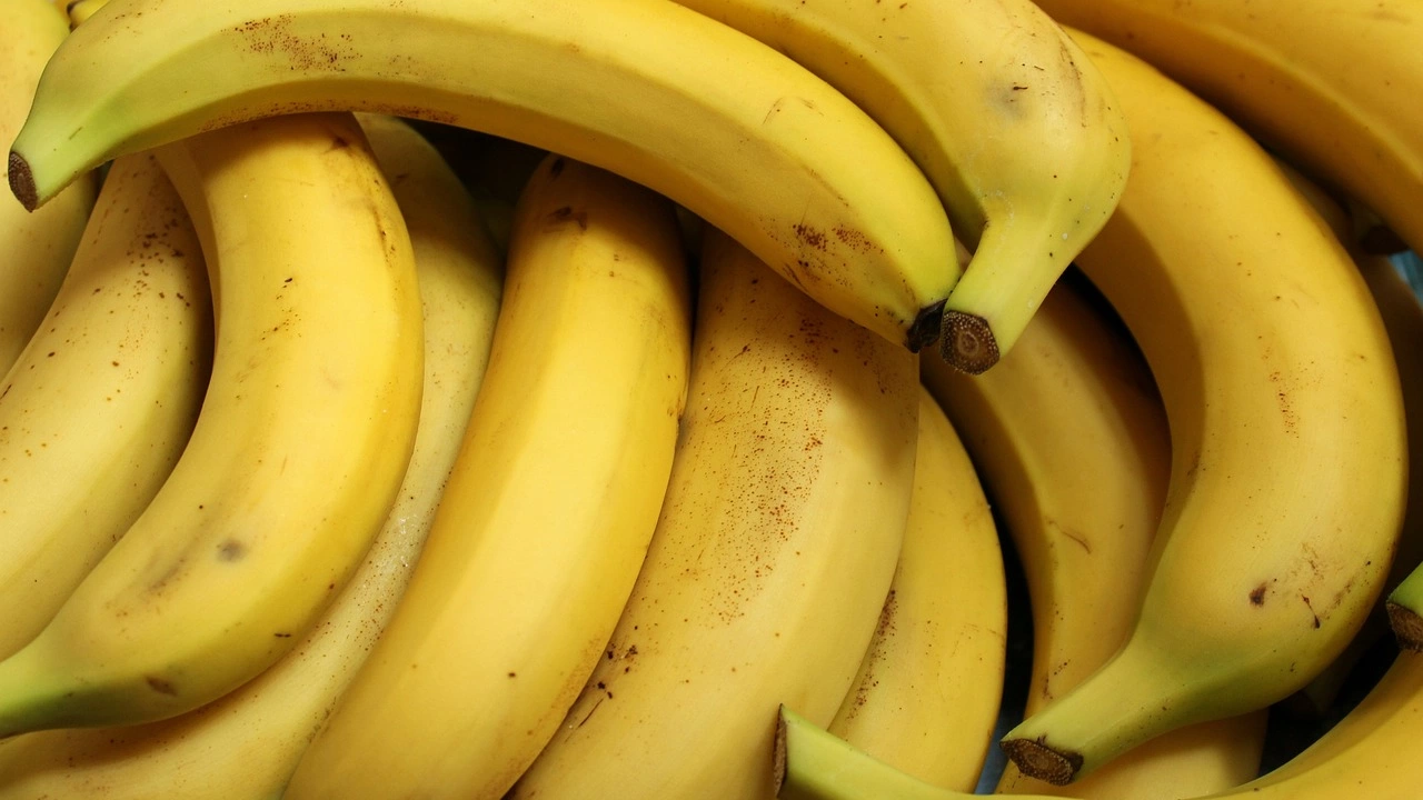 Чешката полиция е конфискувала 646 килограма кокаин скрит сред банани