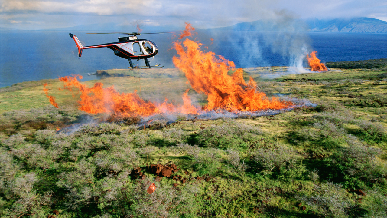 Жертвите на опустошителните пожари на остров Мауи станаха 93
