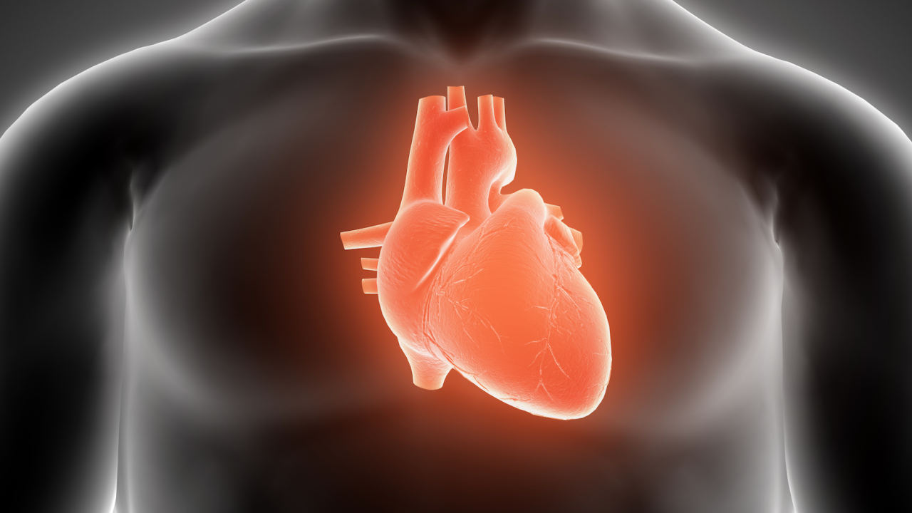 Откриха микропластмаса в човешко сърце