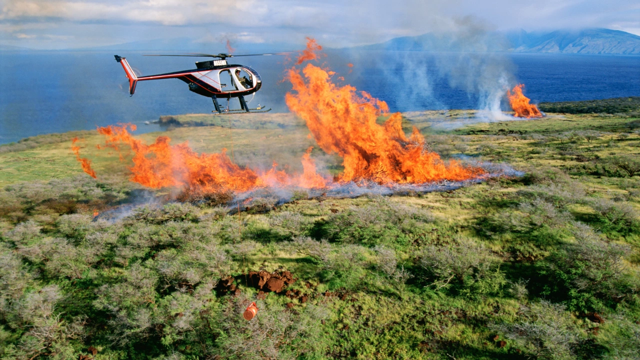 Загиналите в горските пожари на остров Мауи станаха 93 ма Роднините на