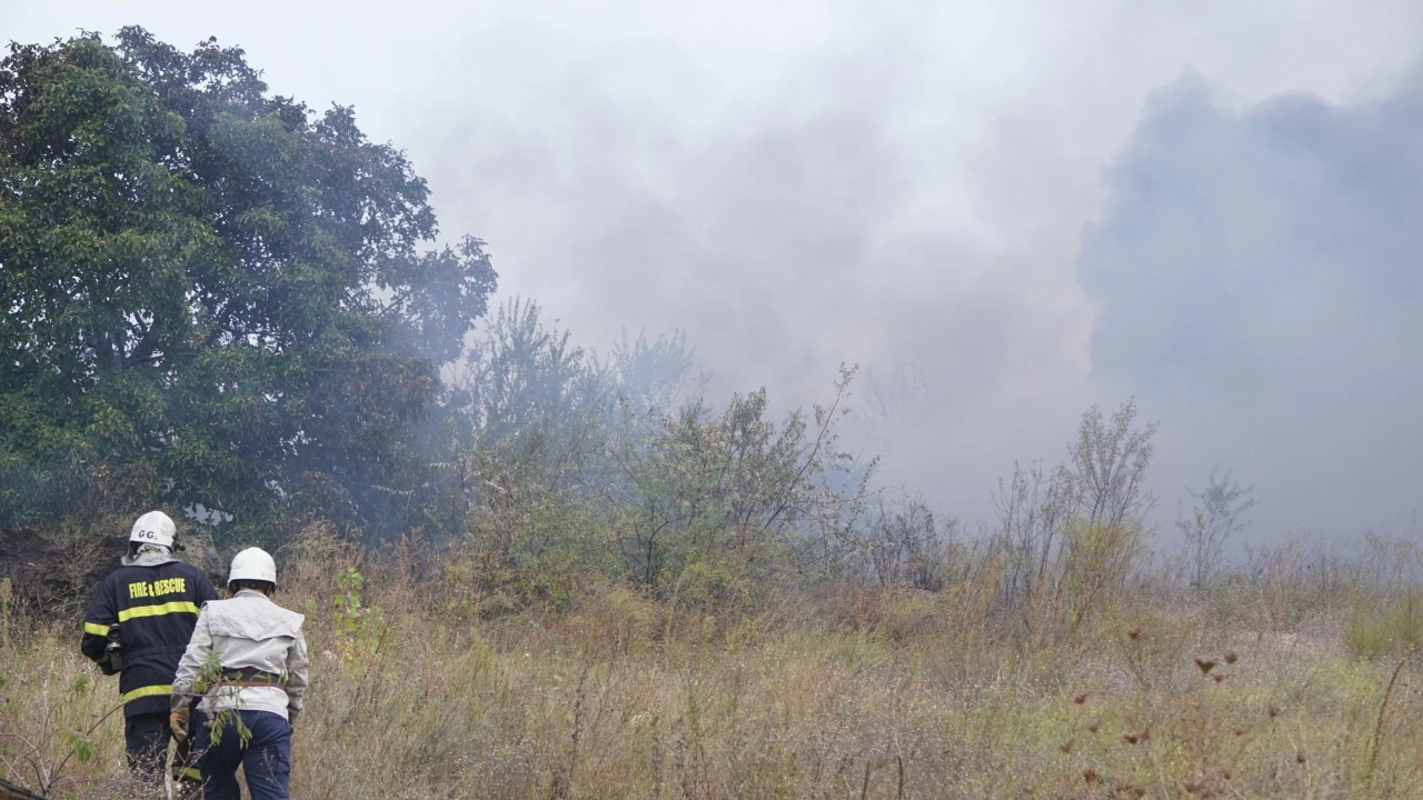 Пожар гори край село Изворище община Бургас Горят сухи треви