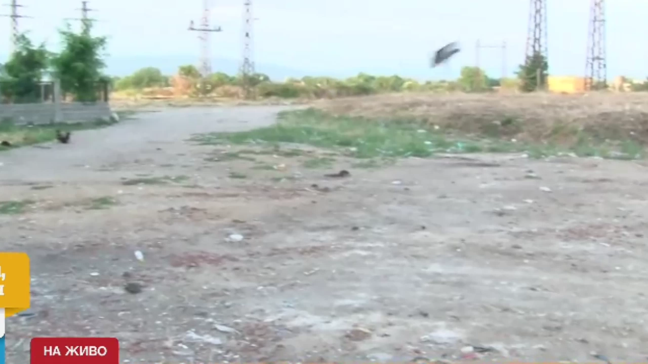 Видеонаблюдение е поставено в казанлъшкия квартал Кармен заради изхвърлянето на боклук