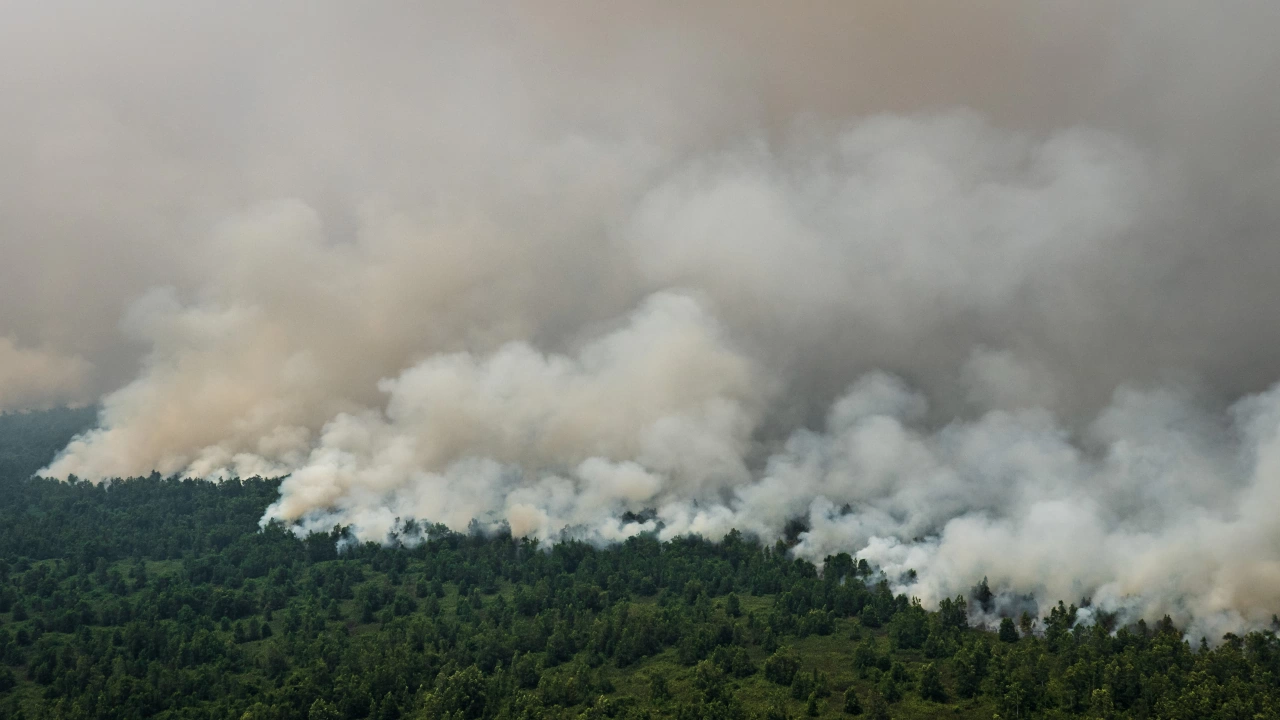 Голям пожар между свиленградските села Младиново и Пъстрогор Горят сухи