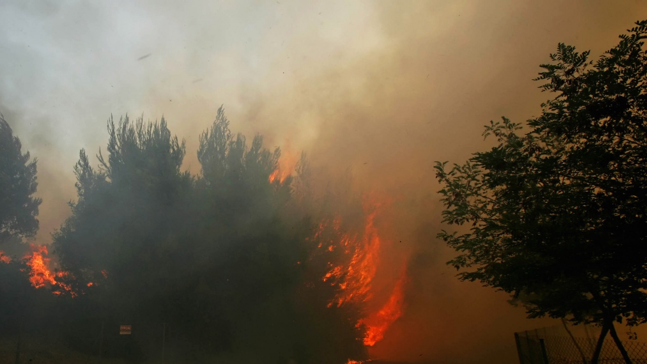 Пожар горя на метри от бензиностанция в Пазарджишко