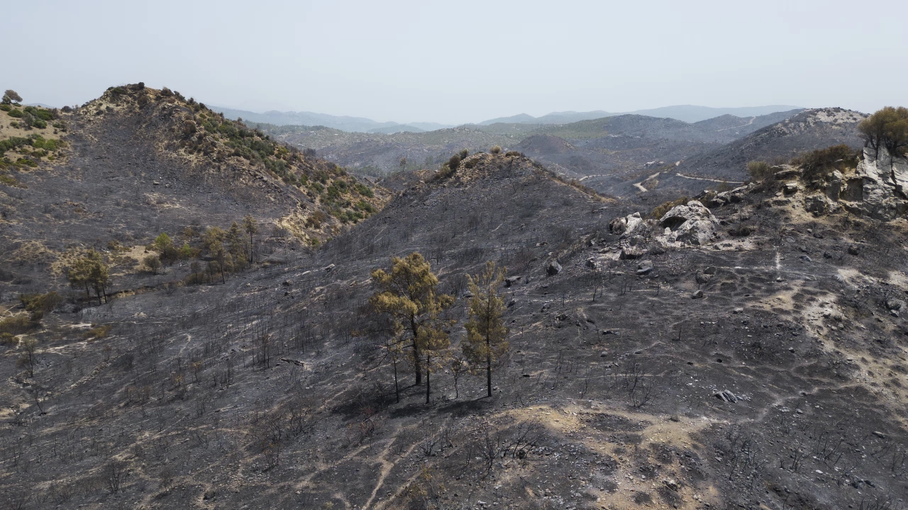 Пожар в района на префектура Еврос Северна Гърция до вчера